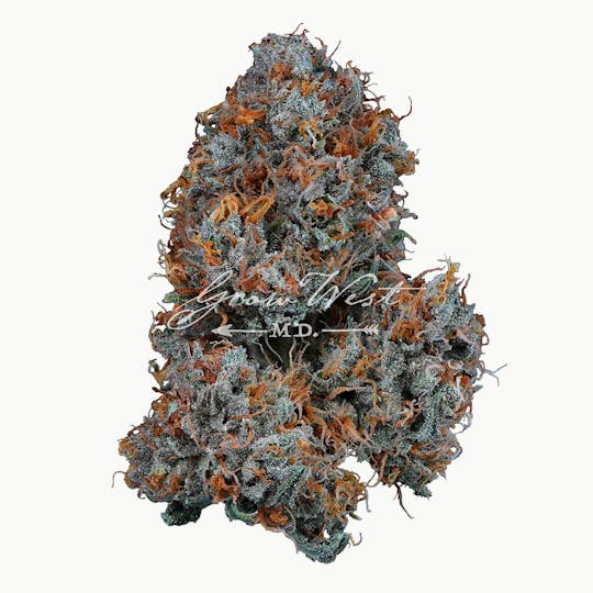 Grow West Cannabis Company - Frosted Oranges | Premium | Hand-Trimmed Flower - 1