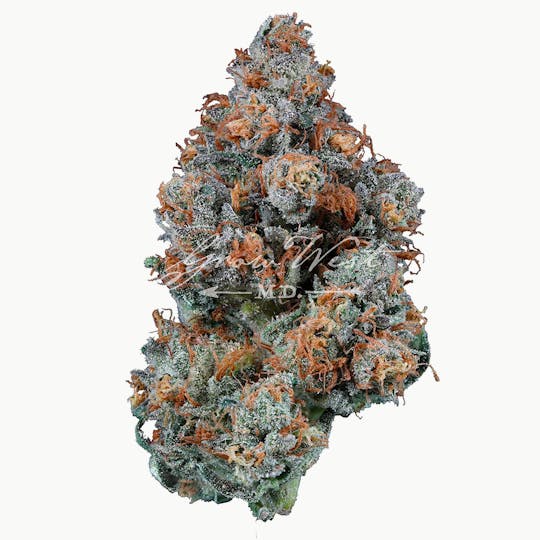 Grow West Cannabis Company - Durban x Cindy 99 | Premium | Hand-Trimmed Flower - 1