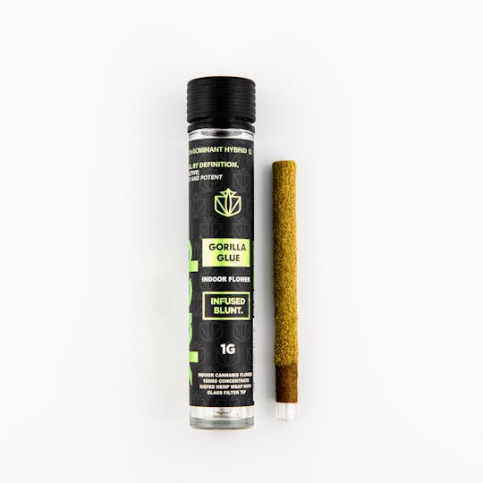Dank By Definition - GORILLA GLUE 1G INFUSED BLUNT - 1
