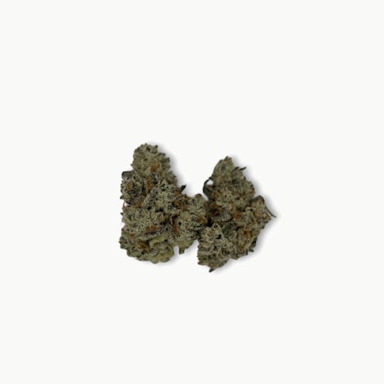 Indico - Grape Pie - B's Trees - 1