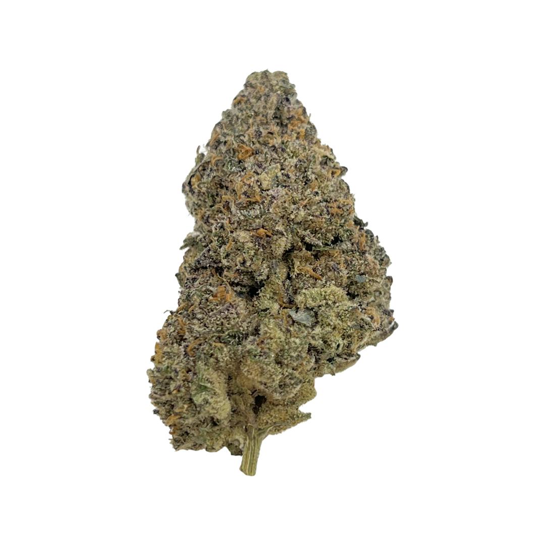 Indico - Ice Cookies - Indico - 1