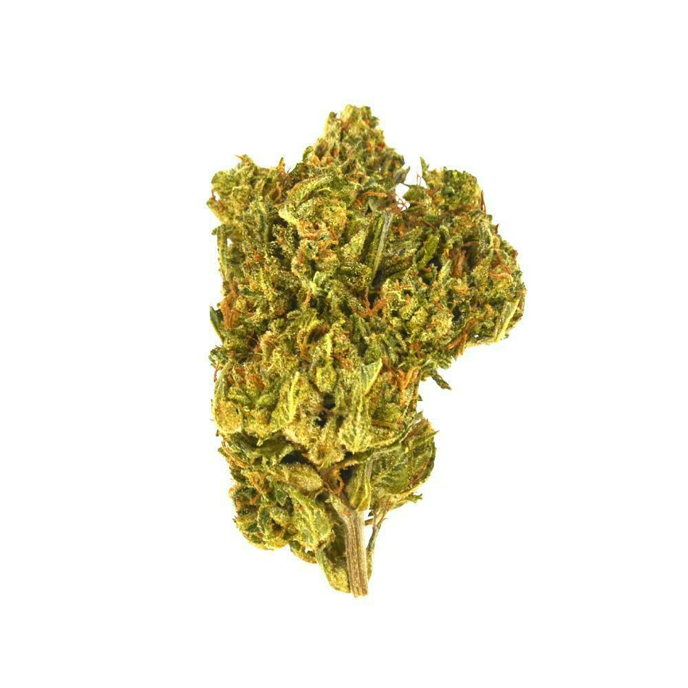 Smoakland - Smoakland Black | Animal Cookies | Big Buds | 14g - 1