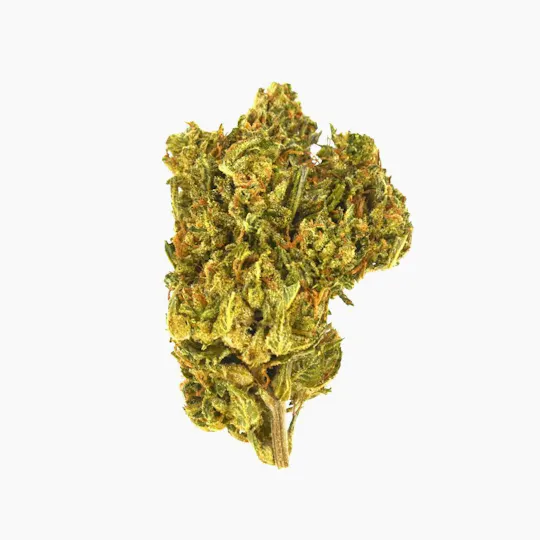 Smoakland - Smoakland Black | Animal Cookies | Big Buds | 14g - 1