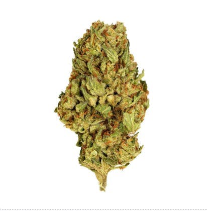 Smoakland - Smoakland | Black Cherry Gelato | Big Buds | 14g - 1