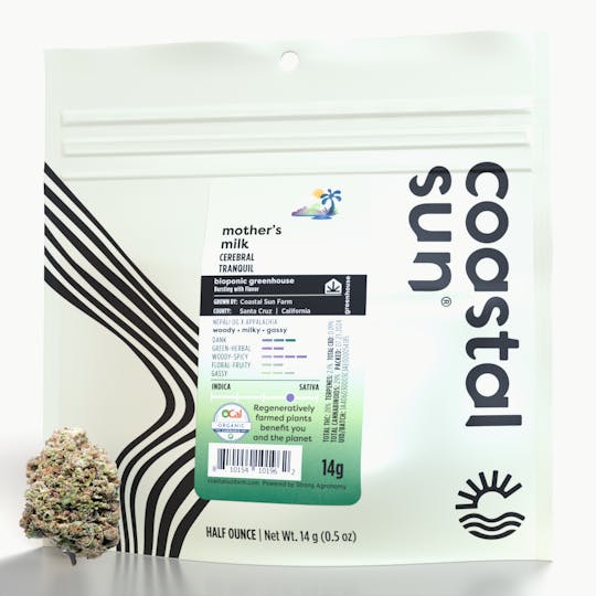 Coastal Sun - Mother's Milk Greenhouse Flower 14g - 1
