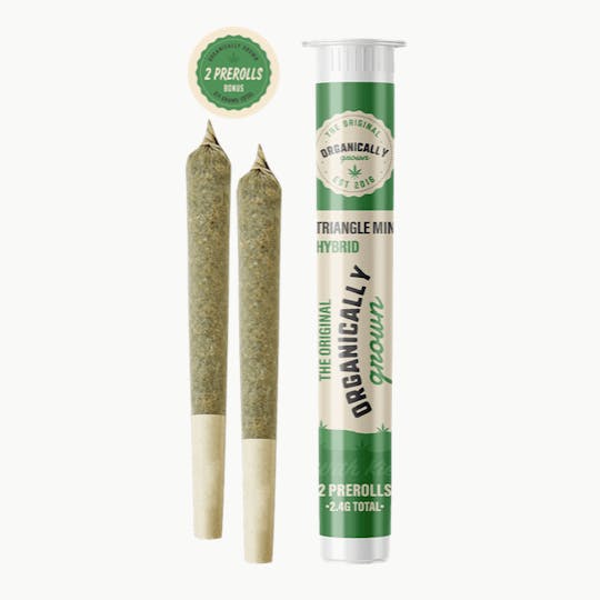 Grassfire - Triangle Mints OG (2 x 1.2 gram) Flower Pre Rolls - 2.4g - 1