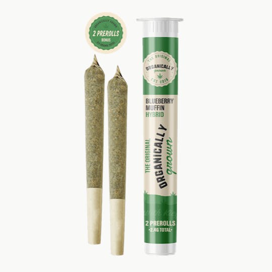 Grassfire - Blueberry Muffin OG (2 x 1.2g) Flower Pre Rolls 2.4g - 1