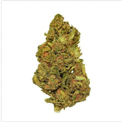 Smoakland - Smoakland | Blue Cookies | Big Buds | 28g - 1