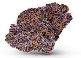 Cannafeen - Cannafeen | Million | Big Buds - 1
