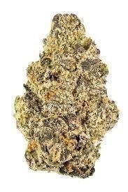 Cannafeen - Cannafeen | Rainbow Runtz | Big Buds - 1