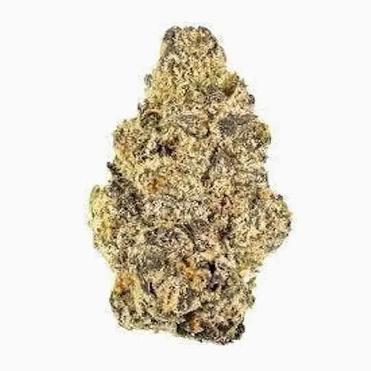 Cannafeen - Cannafeen | Rainbow Runtz | Big Buds - 1