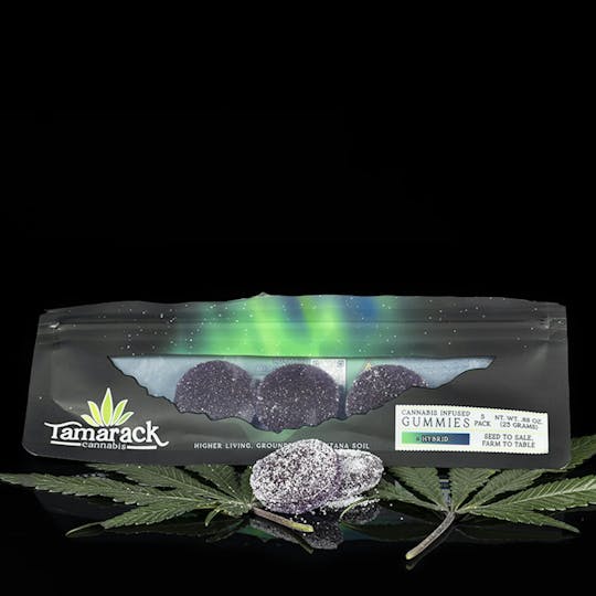 Tamarack Cannabis - Blackberry Sours Extra Strength Hybrid Gummies 5PK - 1