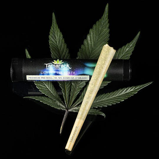 Tamarack Cannabis - Flathead Funk Single Pre Roll .7G - 1