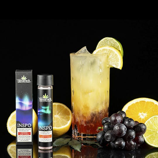 Tamarack Cannabis - Heavens Peak Punch INSPO Drink Mix 100MG - 1