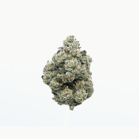 UpNorth - Piña Colada - 3.5g - 1