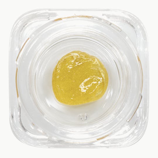 Kite - Pancakes Live Rosin Jam - 1g - 1
