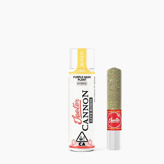 Jeeter - Jeeter | Purple Hash Plant | Live Rosin Cannon | Infused Joint | 1.3g - 1