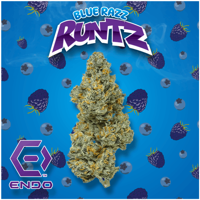Endo - ENDO BLUE RAZZ RUNTZ 3.5G - 1