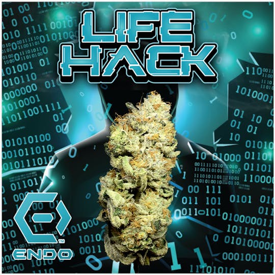 Endo - ENDO PRIME LIFE HACK 3.5G - 1