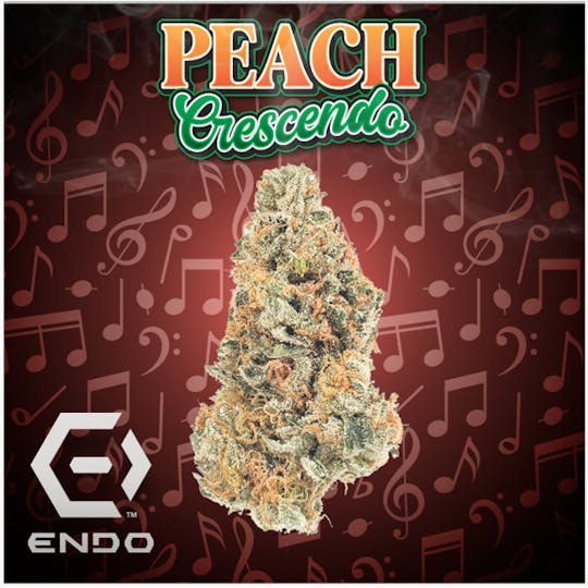 Endo - ENDO PRIME PEACH CRESCENDO 3.5G - 1