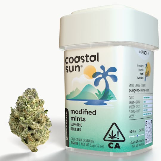Coastal Sun - Modified Mints Greenhouse Flower 3.5g - 1