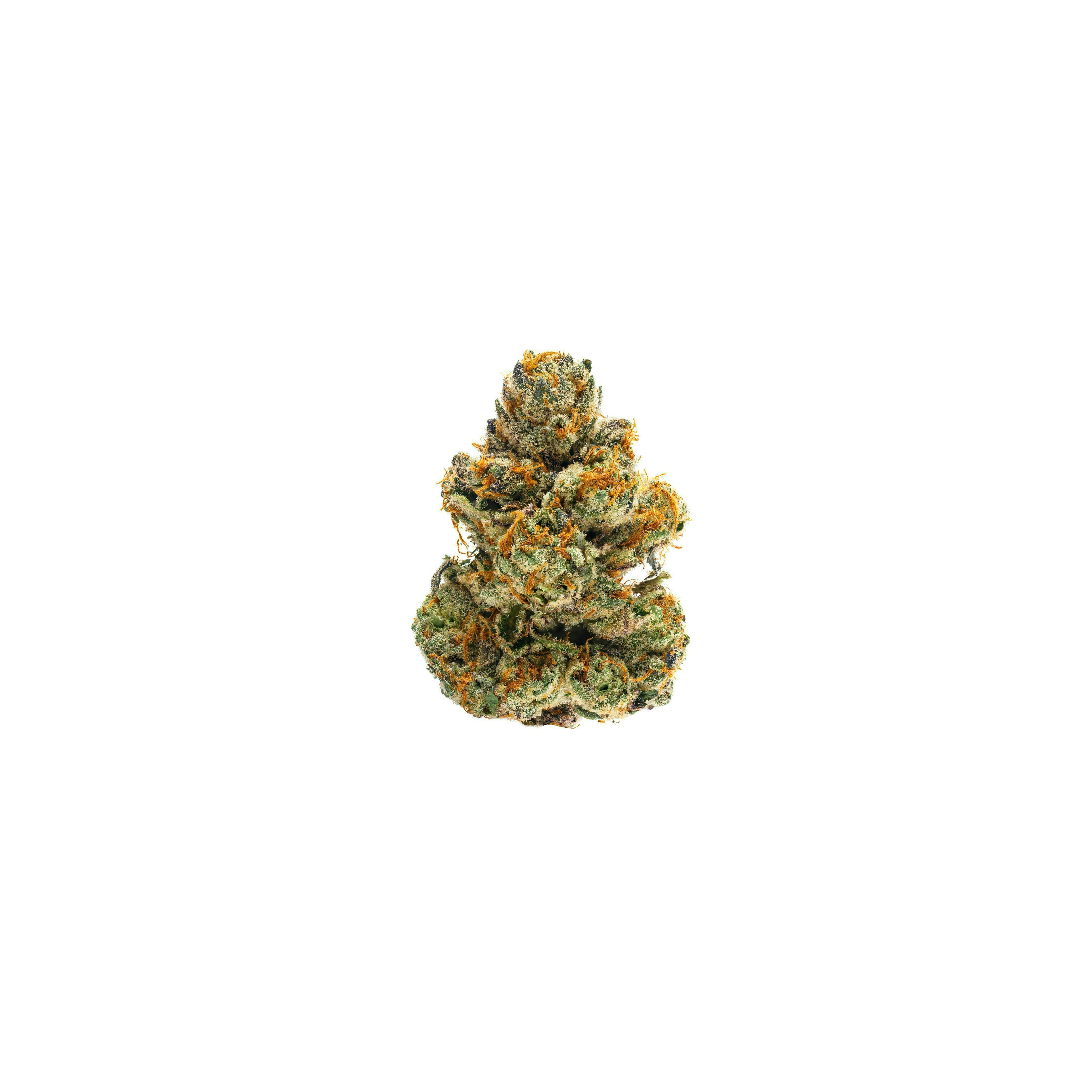 Preferred Gardens - Red Citron | Big Buds Bag | 3.5g - 1