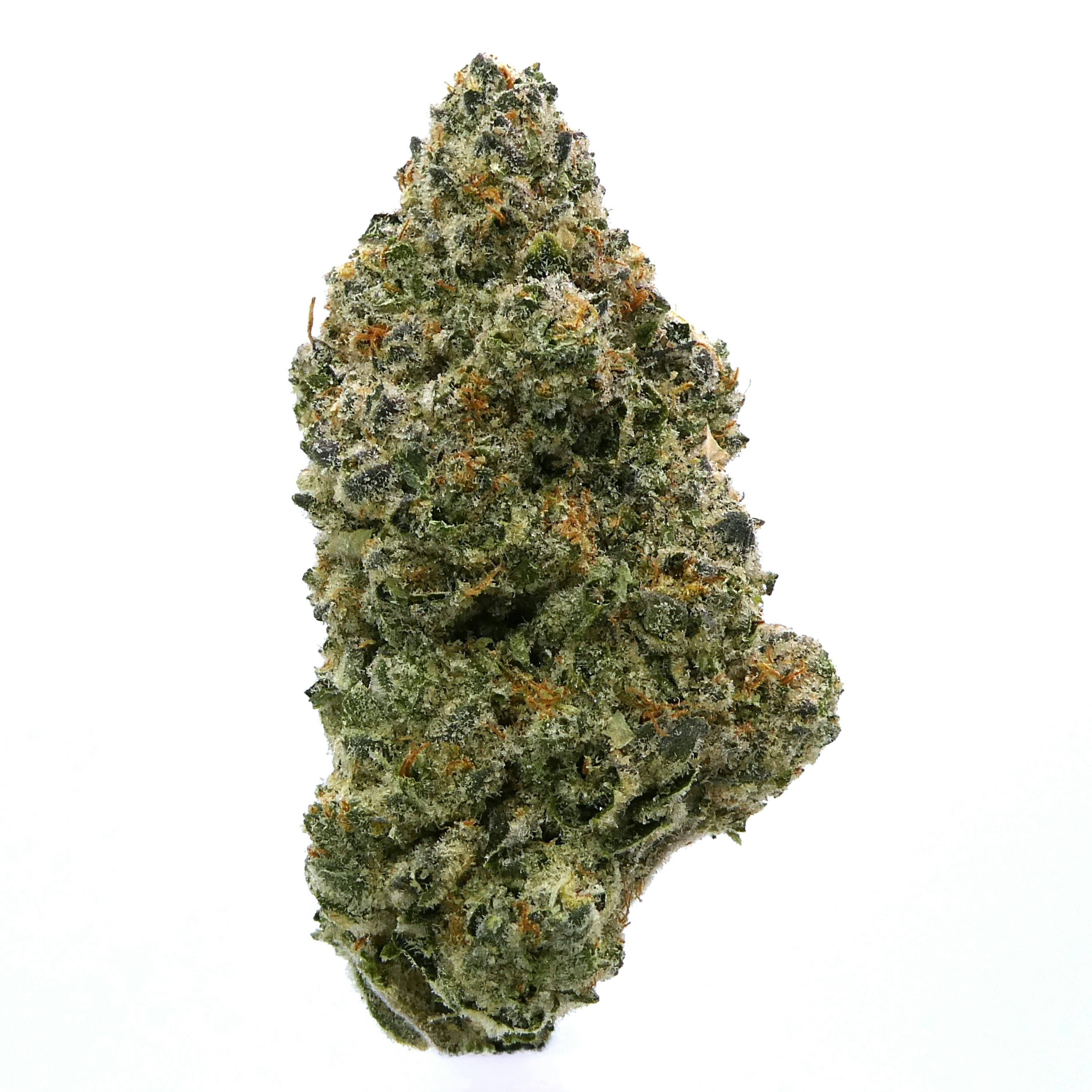 Avitas - LA Baker Buds - 1