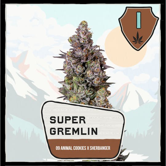 Avitas - Super Gremlin Buds - 1