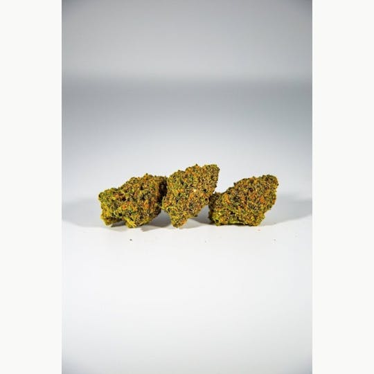 Shatter House - Fortune OG 3.5g Prepack - 1