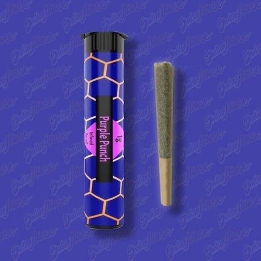 Shatter House - Purple Punch 1g Infused Preroll - 1