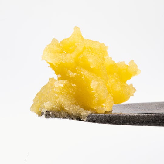 West Coast Cure - Biscotti Cake Live Resin Badder - 1
