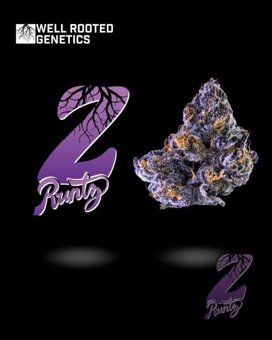 Well Rooted Genetics - Well Rooted Genetics | Zruntz | Big Buds | 3.5g - 1