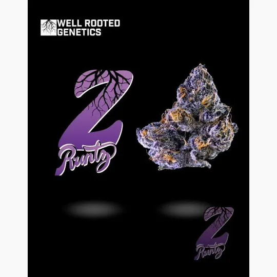 Well Rooted Genetics - Well Rooted Genetics | Zruntz | Big Buds | 3.5g - 1