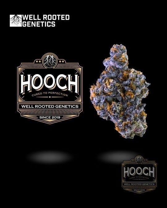Well Rooted Genetics - Well Rooted Genetics | Hooch | Big Buds | 3.5g - 1
