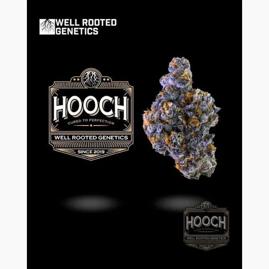 Well Rooted Genetics - Well Rooted Genetics | Hooch | Big Buds | 3.5g - 1