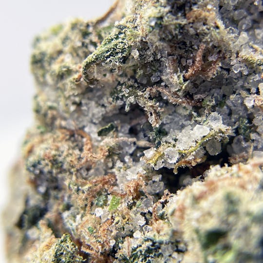 Twenty Two K / 22k - BLACK PEARL - Diamond Coated Indoor - Captain Jack - 3.5g | 1/8oz - 1