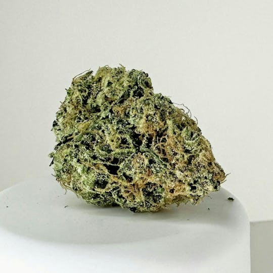 HERBA - Packaged Flower - Hawaiian Dutch - 1g - 1