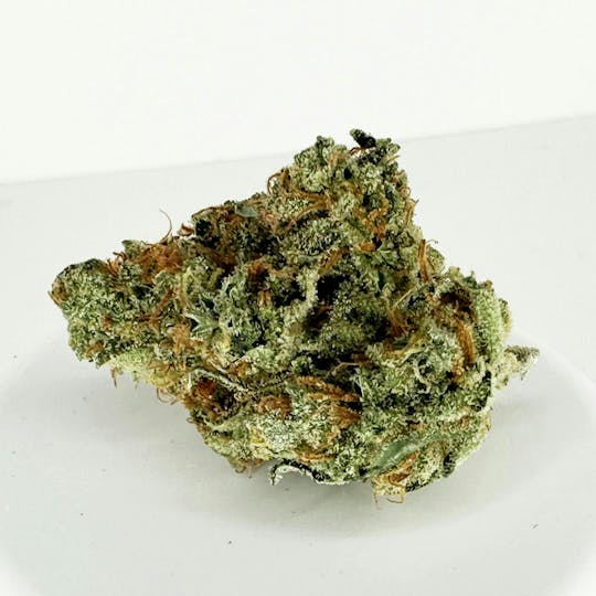 HERBA - Packaged Flower - Lemon OG Haze - 3.5g - 1