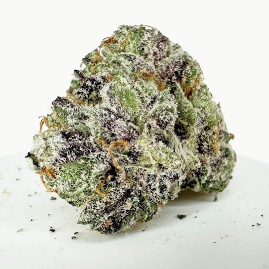 HERBA - Packaged Flower - PICC - 3.5g - 1