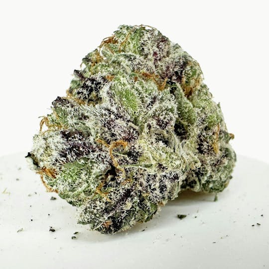 HERBA - Packaged Flower - PICC - 3.5g Jar - 1
