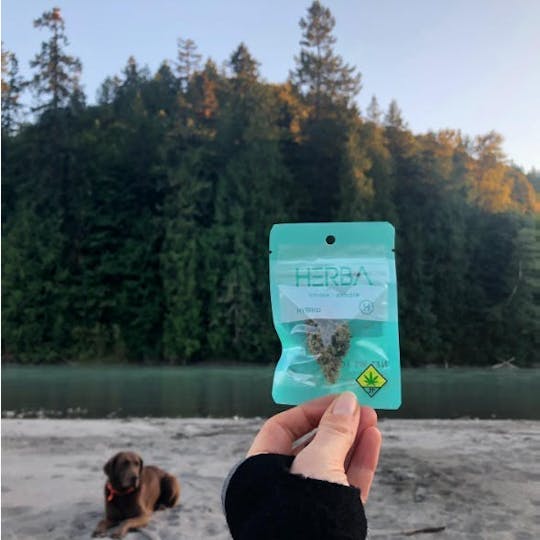 HERBA - Packaged Flower - Serious Black - 1g - 1