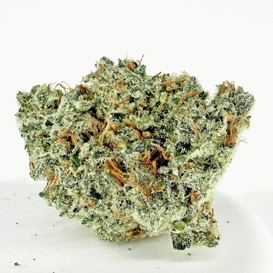 HERBA - Packaged Flower - Sticky Rainbow - 28g - 1