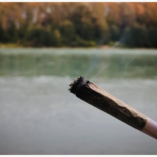 HERBA - Prerolls - Infused - The Buckley - .5g - 1