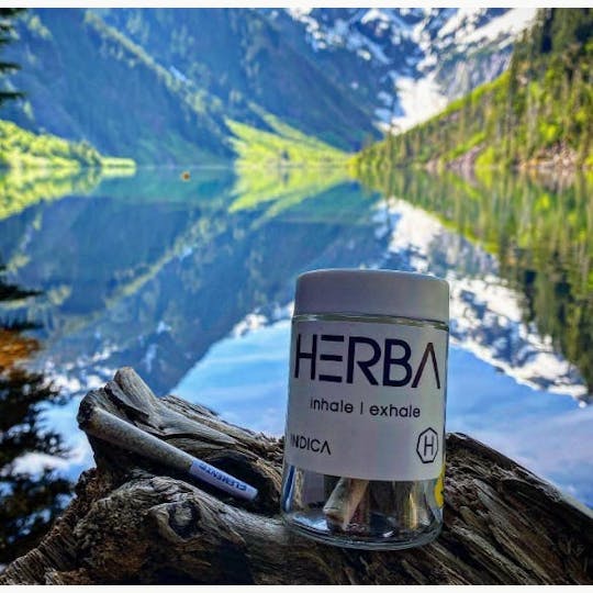 HERBA - Prerolls - Rainier Mints - 10g (1gx10) - 1