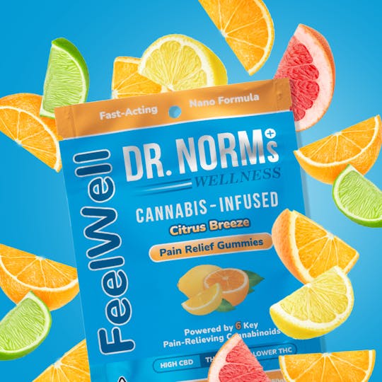 Dr. Norm's - FeelWell Citrus Breeze Pain Relief Gummies - 1