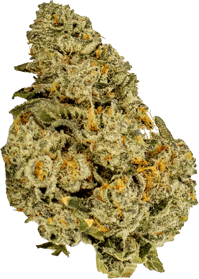 High Life Farms - MI - High Life Farms Banana Conda Prepackaged 3.5g - 1