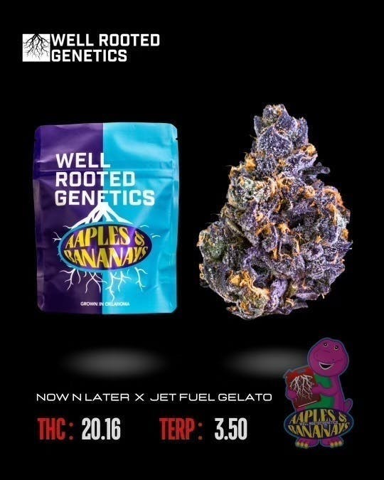 Well Rooted Genetics - Well Rooted Genetics | Aapples & Bananay's | Big Buds | 3.5g - 1
