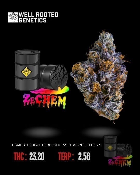Well Rooted Genetics - Well Rooted Genetics | ZeChem | Big Buds | 3.5g - 1