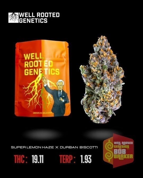 Well Rooted Genetics - Well Rooted Genetics | Bob Barker | Big Buds | 3.5g - 1