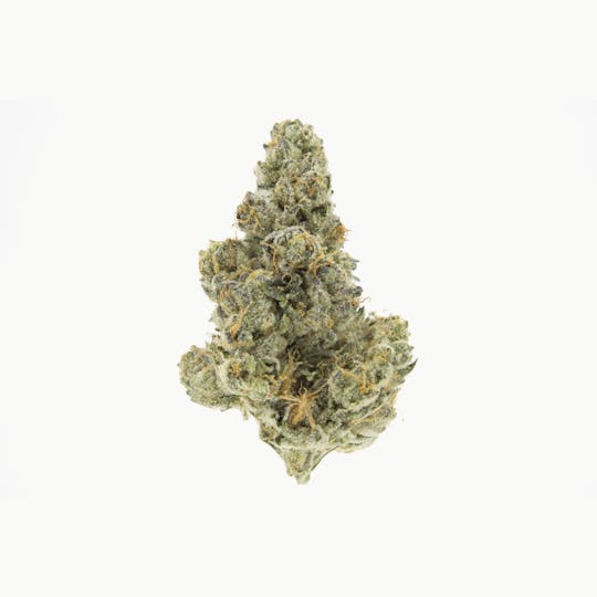 UpNorth - Blue Cookies - 3.5g - 1